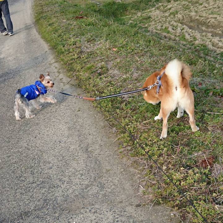 1e3bde29 0c15 408e bf44 91afd97bdaa4