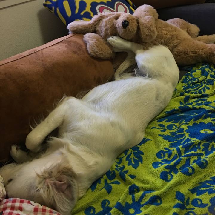 1e3beba7 1be6 4f0d 8e1f 288fe5b60ecf