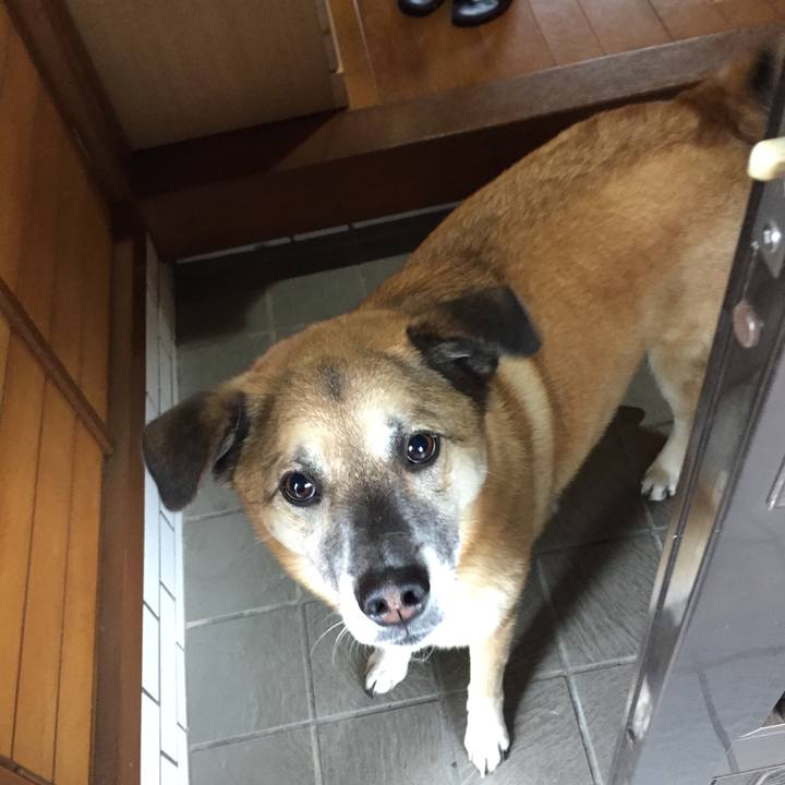 1e3c295b 388f 4313 b29c e7cffd813d8d