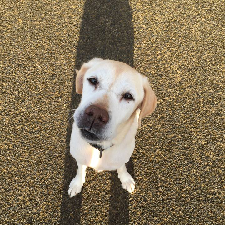 1e3c3129 f1ce 4ba4 b48c a19272123013