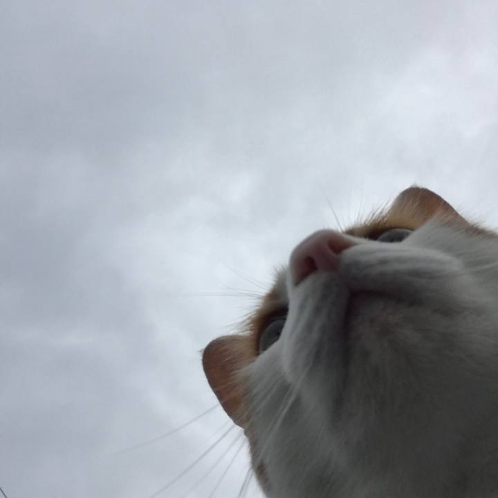 1e3c6925 ebe8 41ba 9443 002b27744cc5