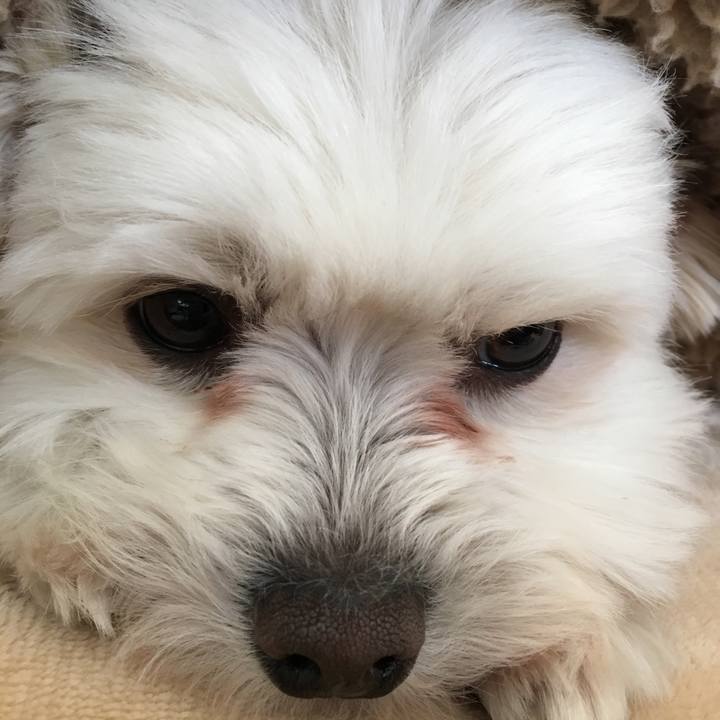 1e3d971b a96c 448e 89be e9ddaf1e7485