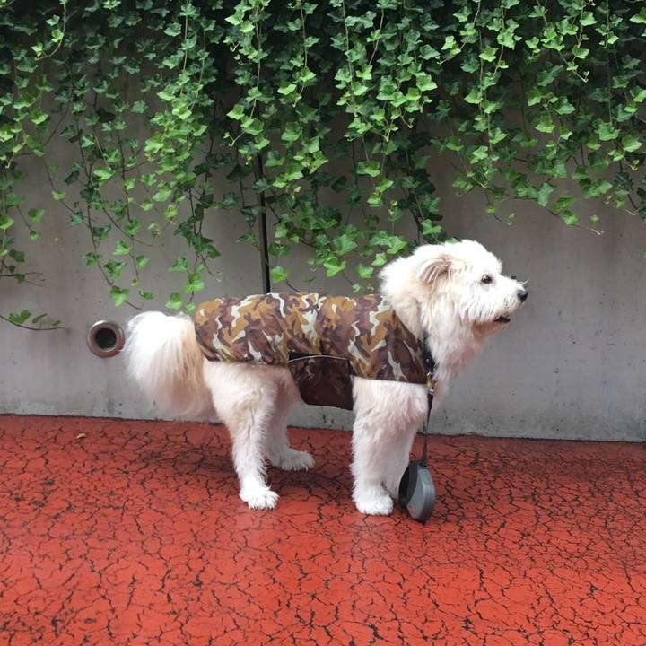 1e3ec634 73be 4693 809b 029a683da9c8