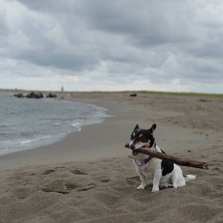 1e3eecda 998d 423c 9d30 f0bd0c92de1c