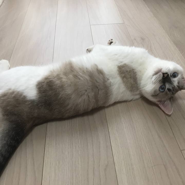 1e3f32bc b91e 4eca 9afb 4e59f017058e