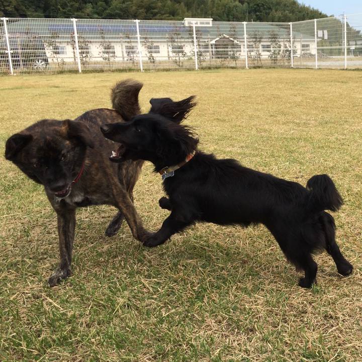 1e3fc40b e32a 4935 886f ba26d2a6319c