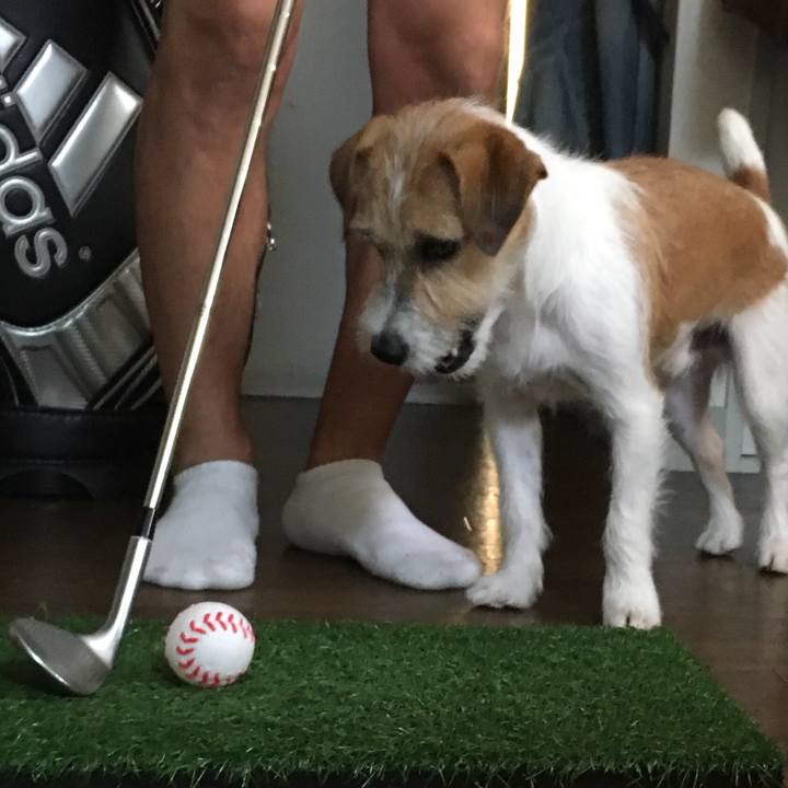 1e407a78 3e2c 49f3 83bb 027e8b4c2267