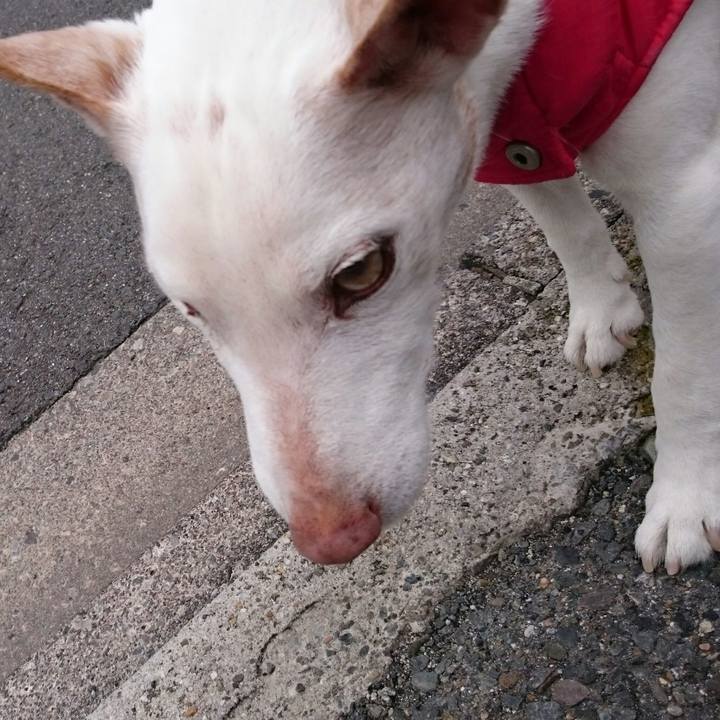 1e40961a 8d5b 48c0 88dd 8ff422220604