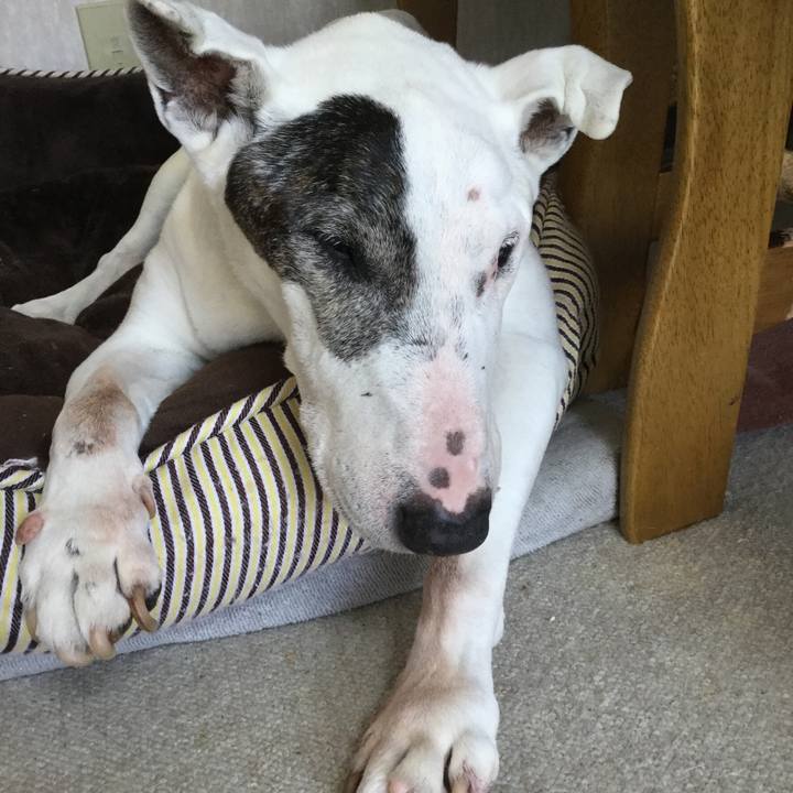 1e4264c8 72d2 4303 85ad 7d094323609a