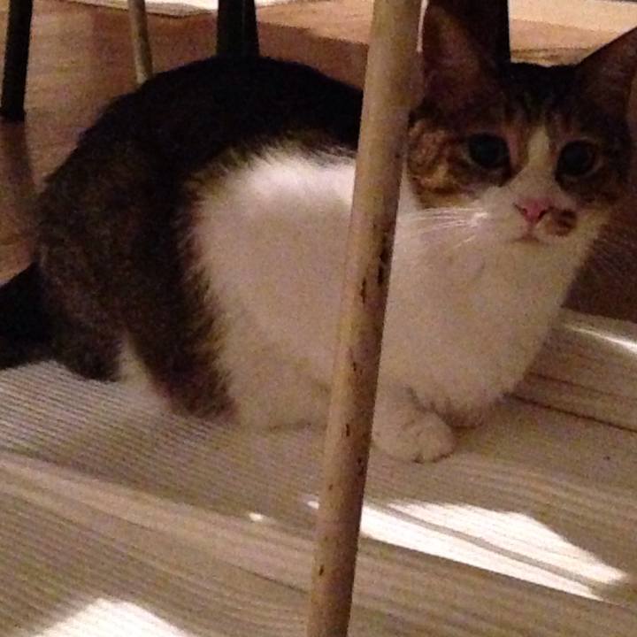 1e4294a7 b2de 41df bfe8 36a686dfc8b0