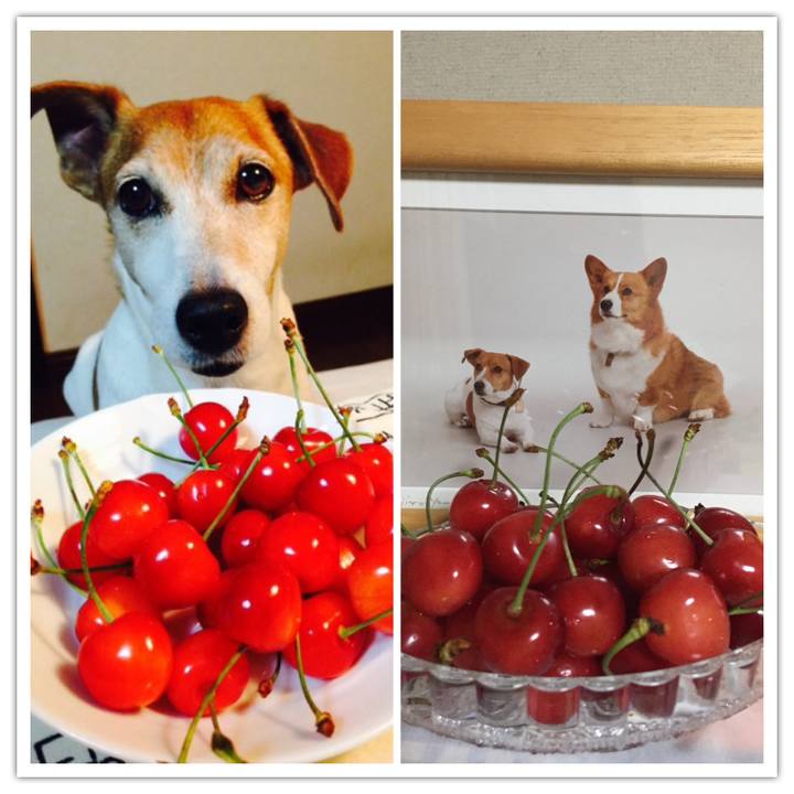 1e42f71a 3799 4124 aad2 31540266a18a