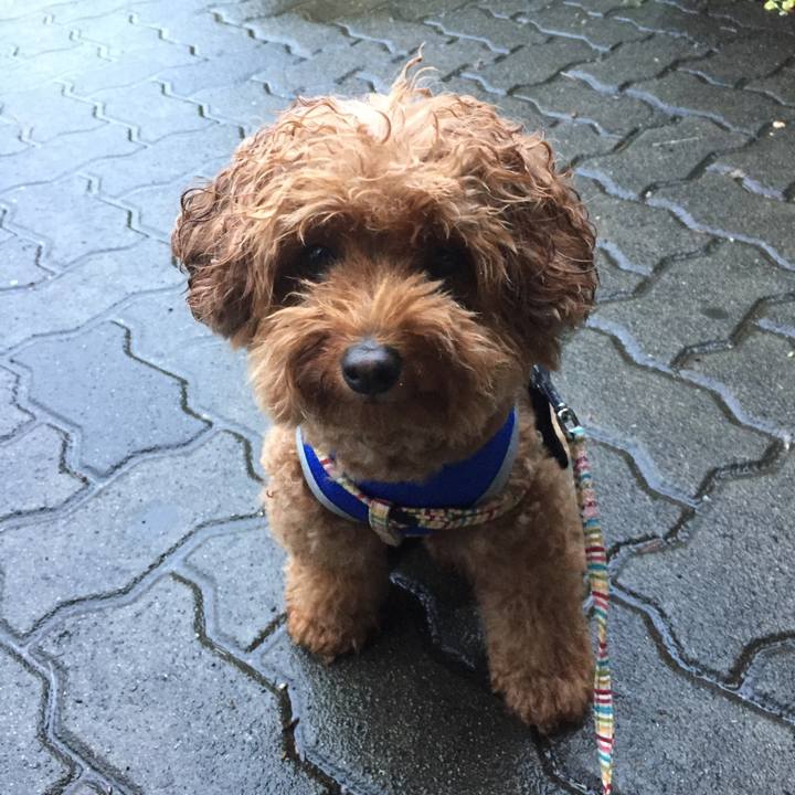 1e43b1d4 6739 42f3 9783 16103842c1f1