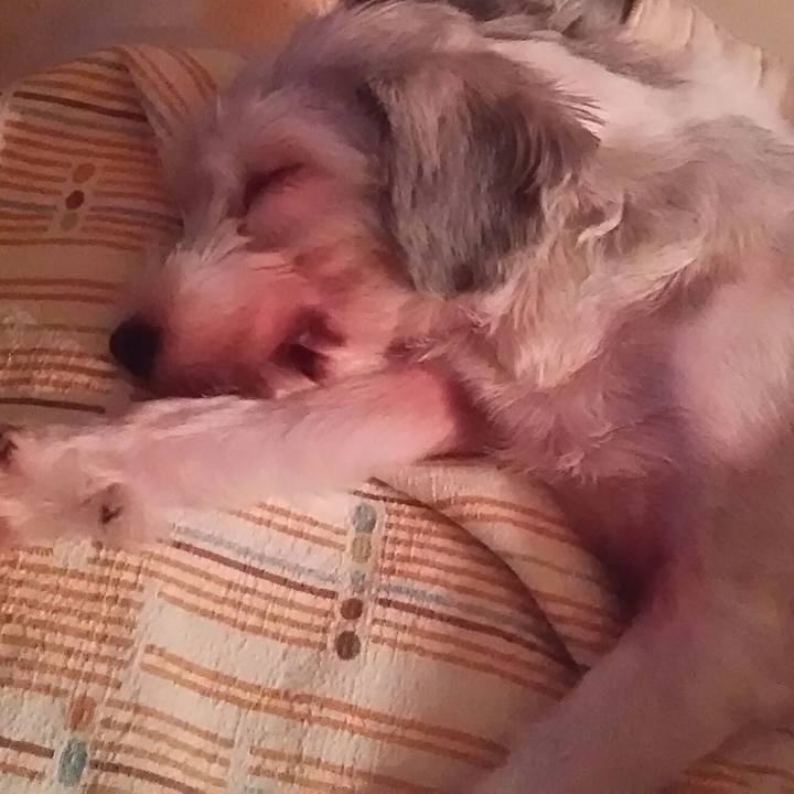 1e442a1e 4c9d 4fed a760 2e4817647b0a