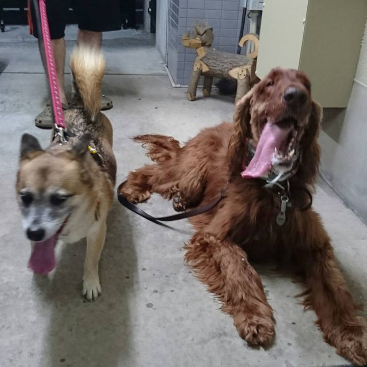 1e4436a6 7f73 4d9c 86ea d5c0283cbc08