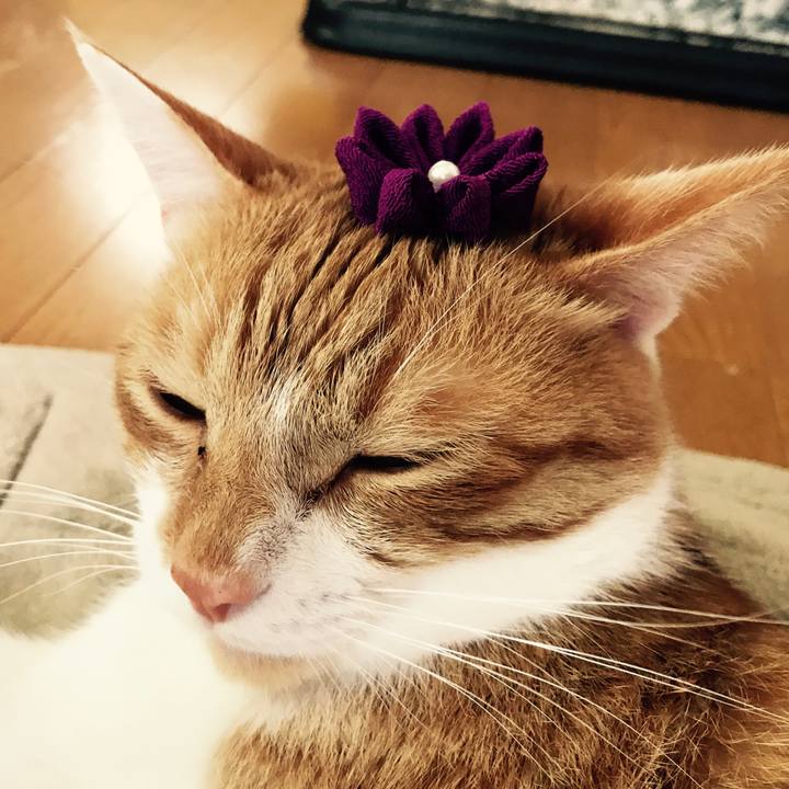 1e445034 77ea 4791 b9f6 06eeed7e5570