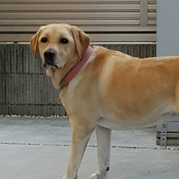 1e44cfca 0a24 489b 99f5 33f2bd5af542