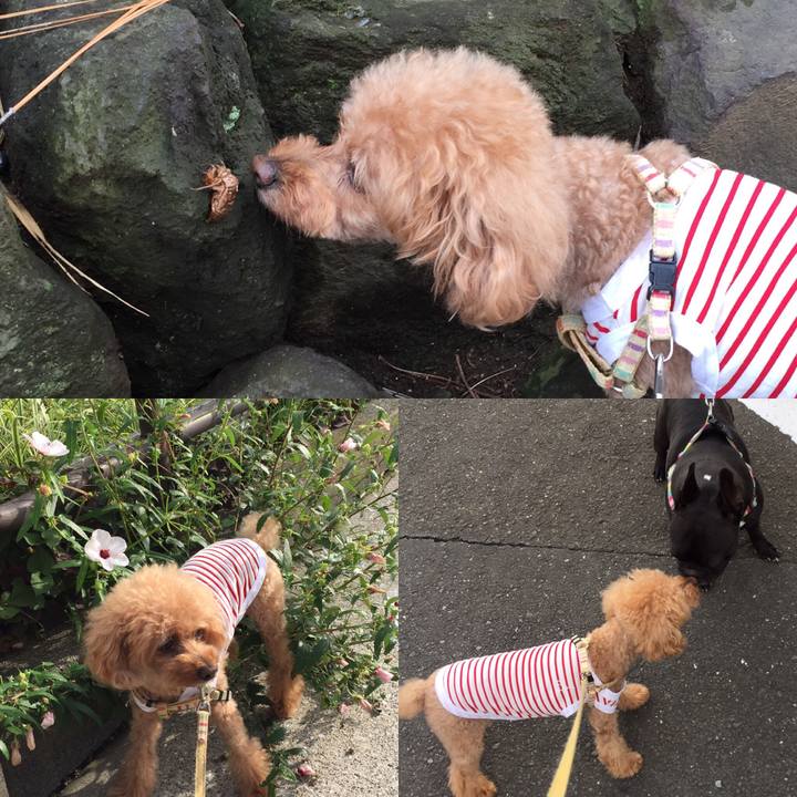 1e451a01 3b82 4118 a83f d5d042387d1b