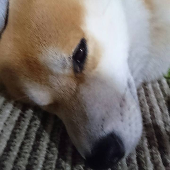 1e454976 43cc 49e4 8bee adfb063c0bd1