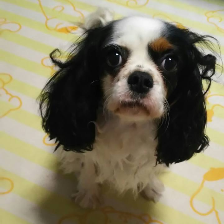 1e46b36c d6df 422a a981 8471dee35b09