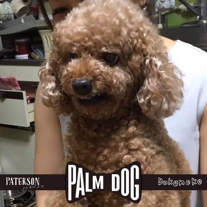 1e47182d dad4 4154 95e0 dd696d777276