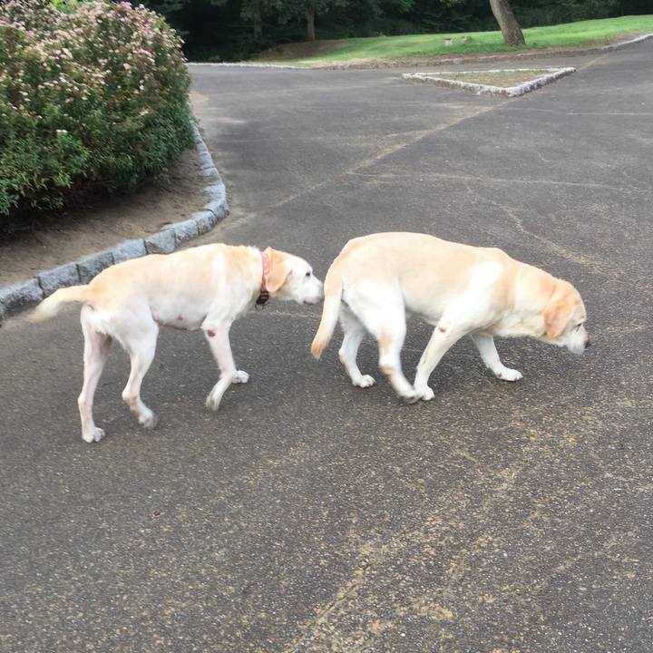 1e472378 2b86 48fc bffe 9d5cdc8624bd