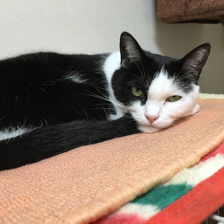 1e47507c 6cf7 4b9d 94a3 b14cd19b50fa