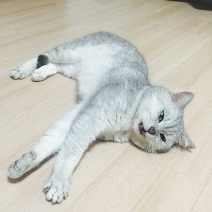 1e476894 400b 4a5e 887f e3e660dbae7e