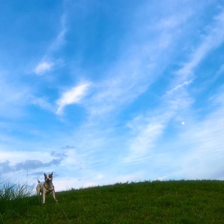 1e47b05f 4278 475a a4f3 7690ae6bcbc6