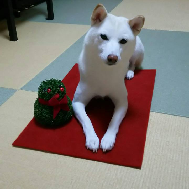 1e487195 d749 4bb7 9c40 cff9eca69bbb