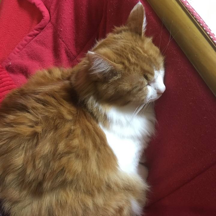 1e498b2c 1bce 4da5 9e14 fe11db9eb35f