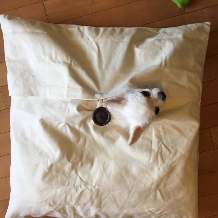 1e49c9f8 775b 4f0d 9d44 0cdad1d5a59a