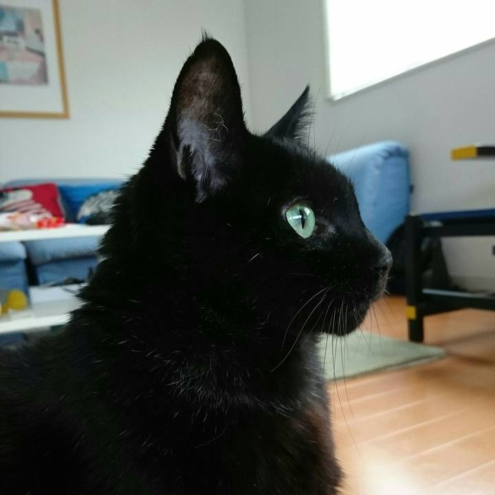 1e4ab34b f050 4d7a 8c39 24cd88da1b29