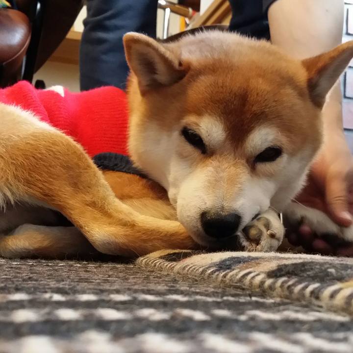 1e4af2ce 53fa 4ef9 b80d 7bc05eda6b09