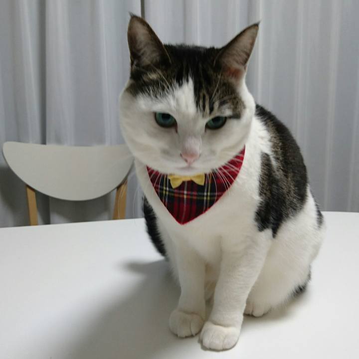 1e4b4aa2 672c 45ef 9656 29054b51f0cd