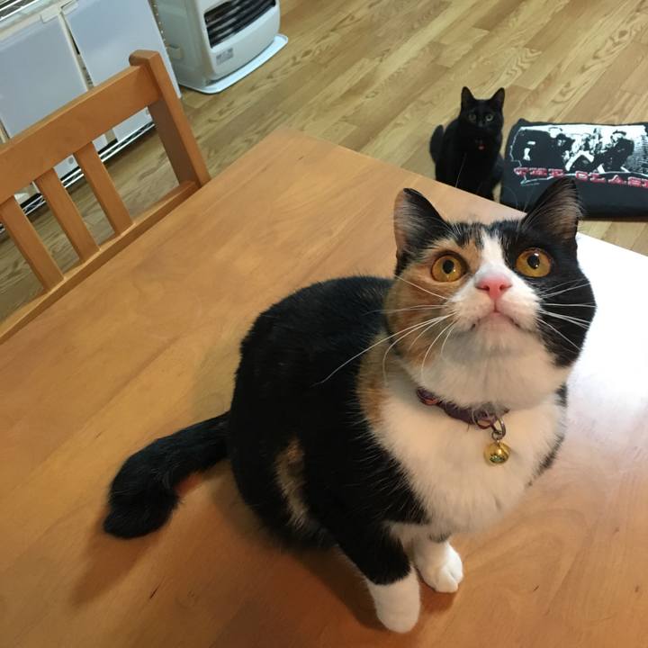 1e4b888f 15c7 4a0d a730 b264474645c7