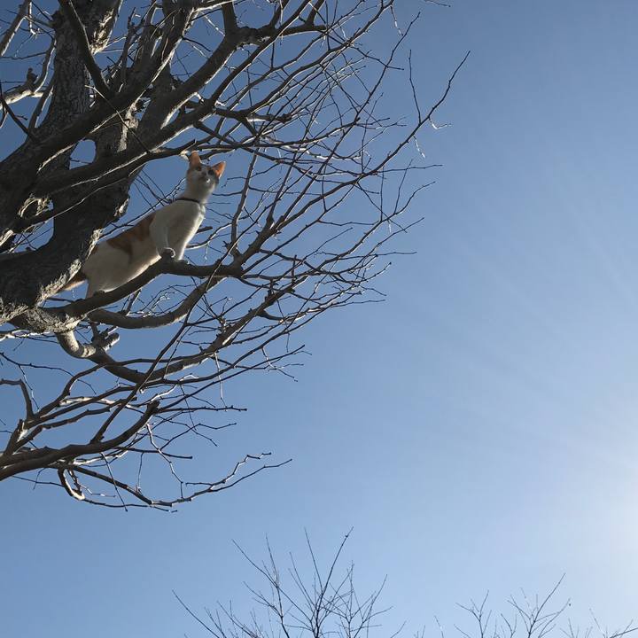 1e4ba0b0 5e15 4be9 87f7 241ae122641c