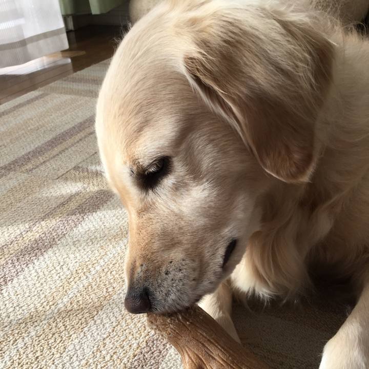 1e4c2bf3 0e70 4fd2 b8e1 a34cb779134d