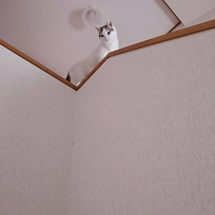 1e4c65f6 7c51 4ebb 8c2c 5656714cec2f