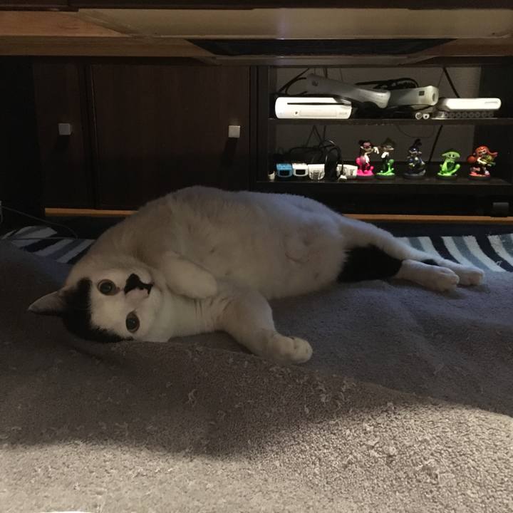 1e4c7376 75d9 486d 8783 2d2cef258a7e