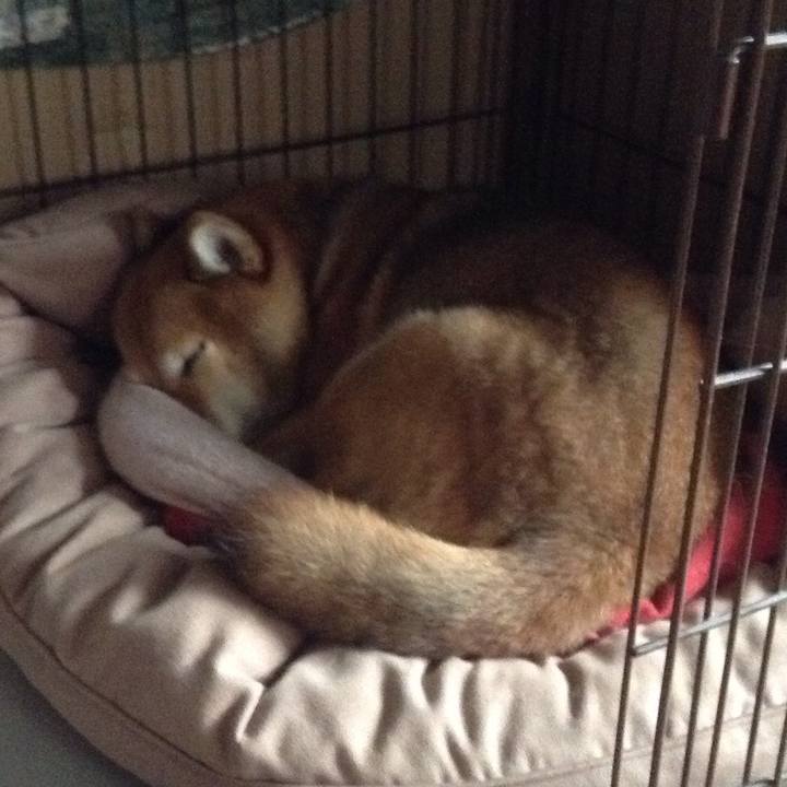 1e4cc714 b1ab 42fb ab73 11059af8fbcb