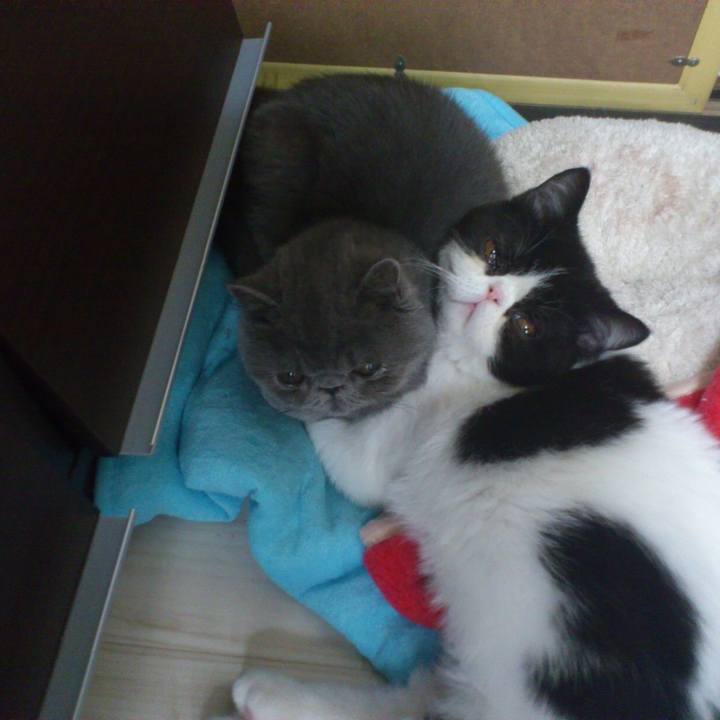 1e4cd1e5 9a66 493f bea4 23e8c03914d9