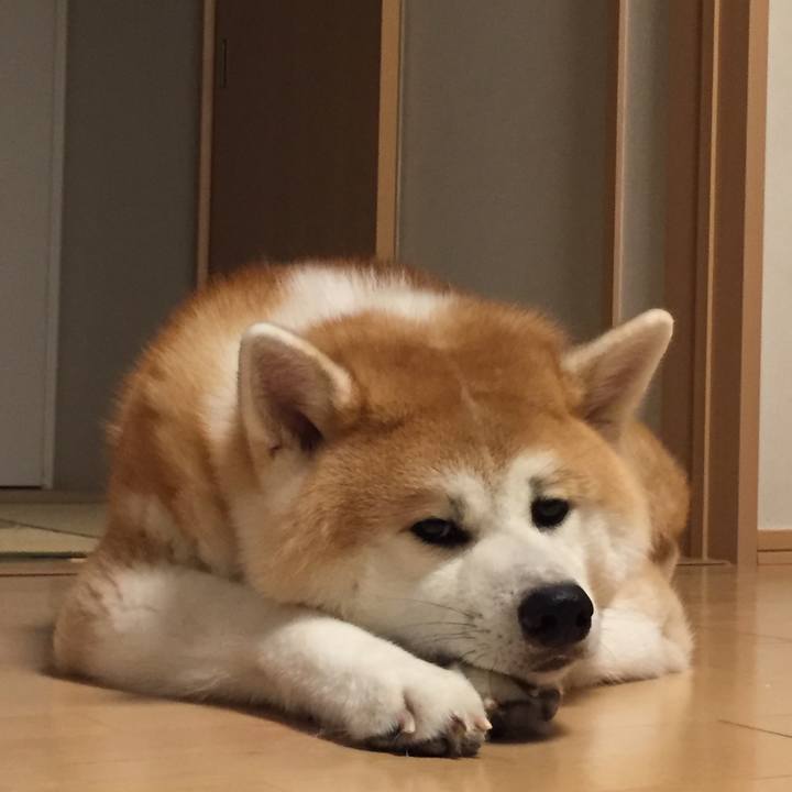 1e4cd5a9 c7c0 48c4 ad8c 406261e35cbb