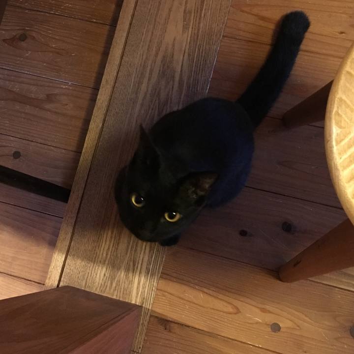 1e4d05ec 9c8f 4943 9bf2 6390f5e6f5e7