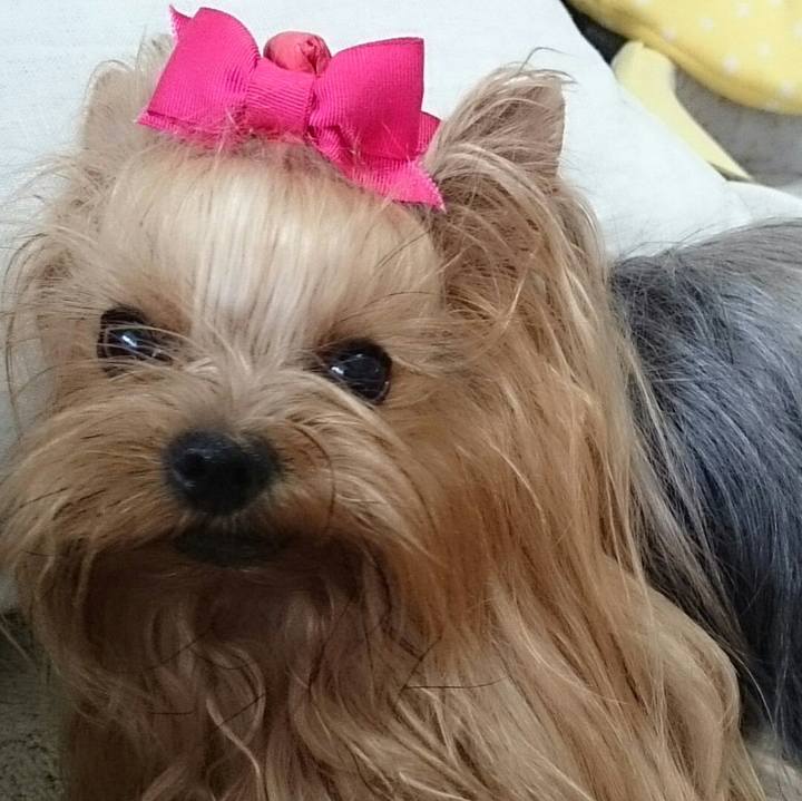 1e4d1d03 f540 468d a21b 4fea131ca0f4