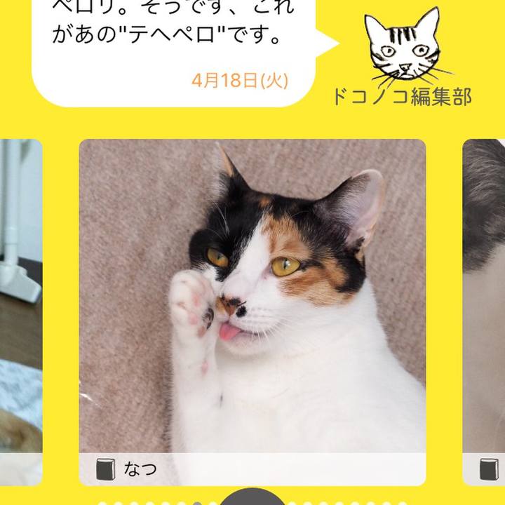 1e4d8ff9 95cf 4200 b724 1b3a7f445804