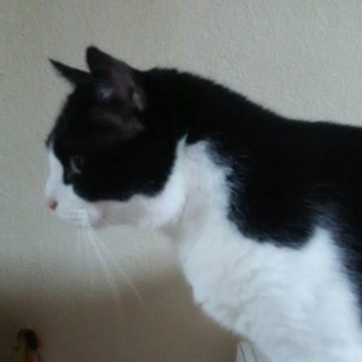 1e4da7ed 98d1 45ed bf86 dda1d23ba332