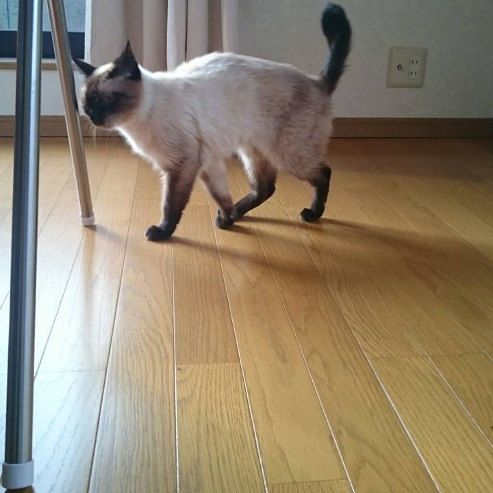 1e4df406 c528 4b9a b514 c91b0b381a15