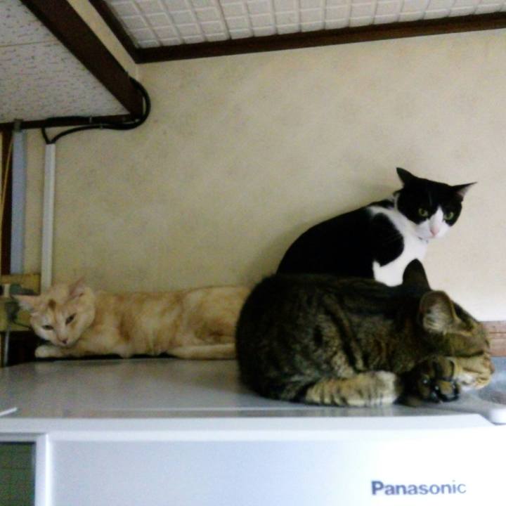 1e4e24e3 c133 4e64 8e9b eac04fc756db