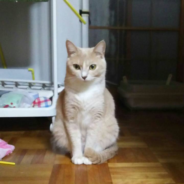 1e4e941b 0c8b 41e8 9a64 338a32758583