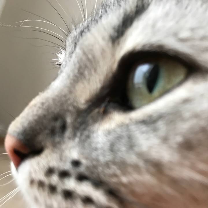 1e4e951f 1a76 48d4 bb49 703929eb6f8c